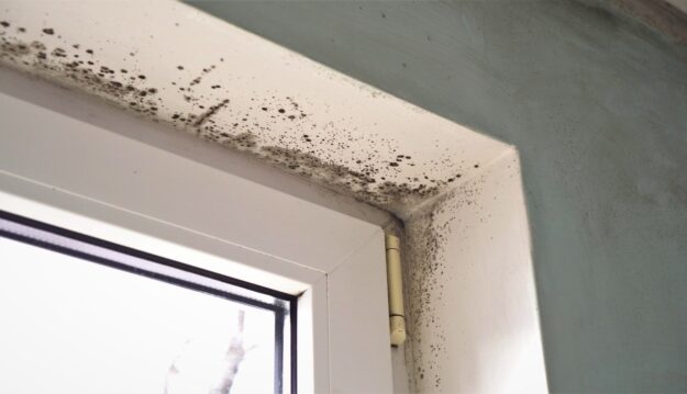 Mould in the house, Brookvent Ventilation has you covered